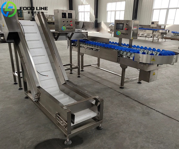 auto feeding weight sorter sold to chile