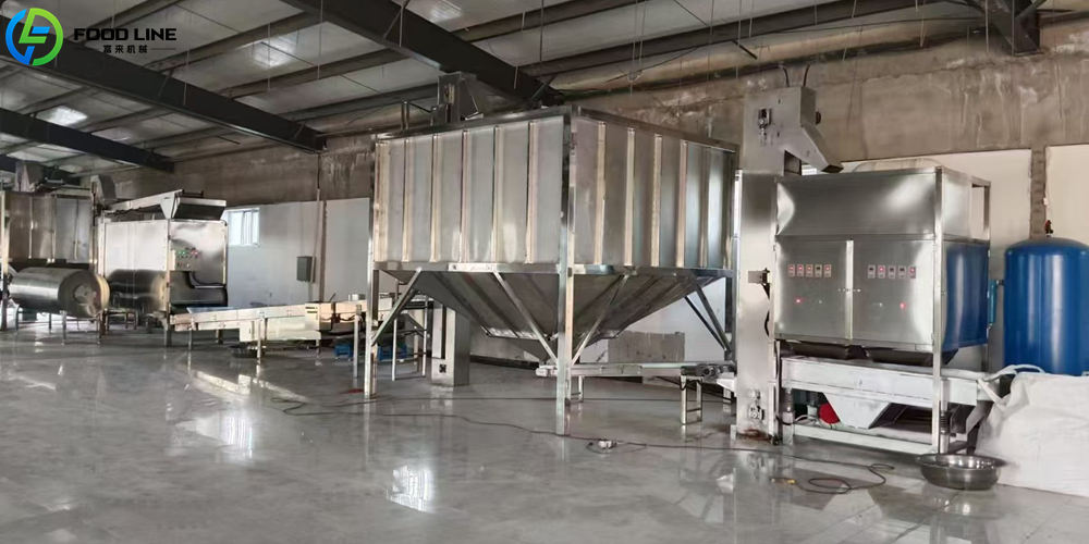 cashew nut peeling equipment line