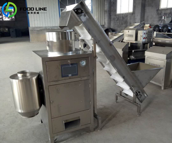 cashew nut peeling system with lifting device