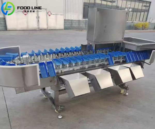 high precision weighing and sorting machine