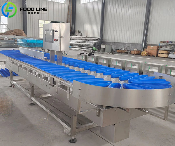 shrimp weighing sorter automatic