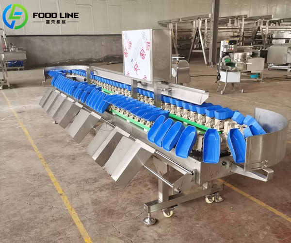 weight grading machine for carrots