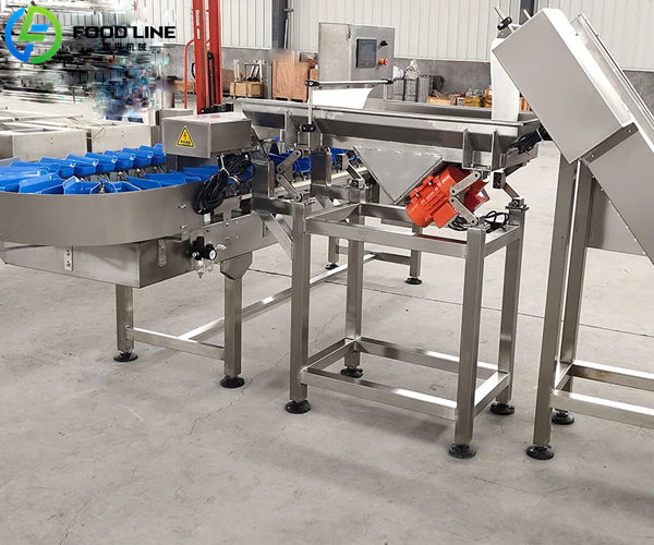 weight sorting equipment with automatic feeding