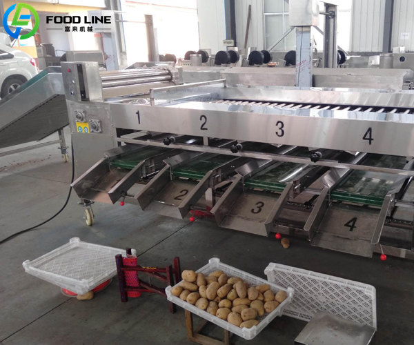 automatic potato size sorting machine