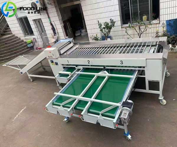fruit vegetable sorting grading machine