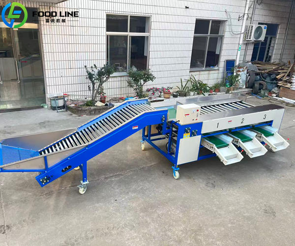 good price potato sorting machine