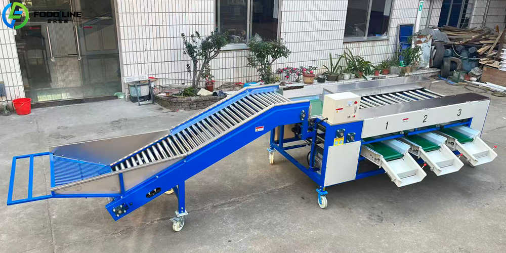 high efficiency potato grading machine