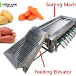 potato processing machine for size sorting