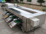 potato sorting machine for sale