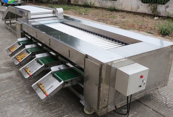 potato sorting machine for sale