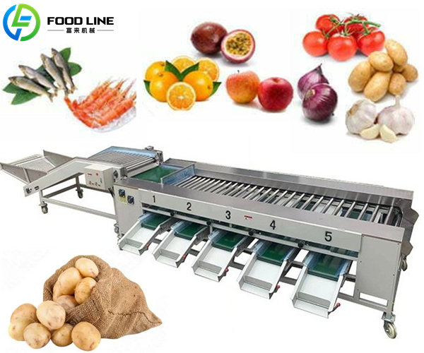 roller onion potato grading machine
