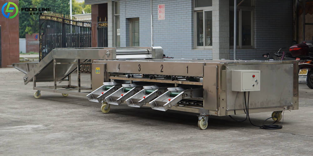 roller type sorting grading machine