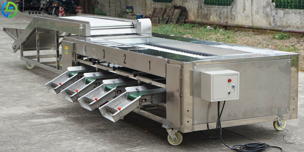 size sorting machine for fruits and vegetables