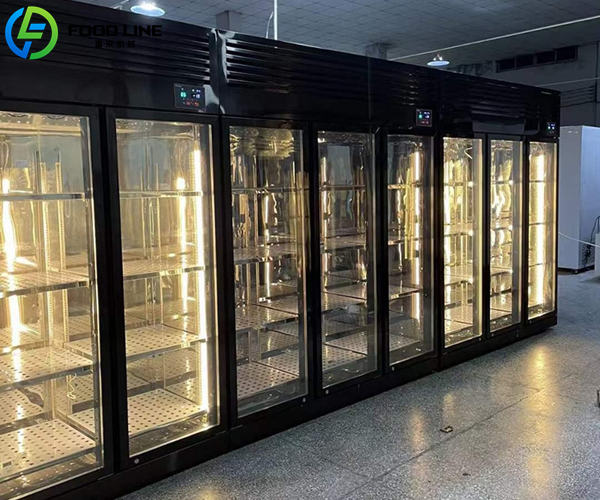two door dry aging beef refrigerator