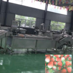 strawberry washer line for cleaning strawberry