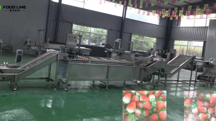 strawberry washer line for cleaning strawberry