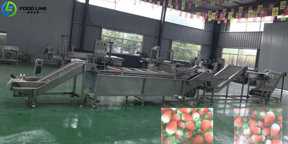 strawberry washer line for cleaning strawberry