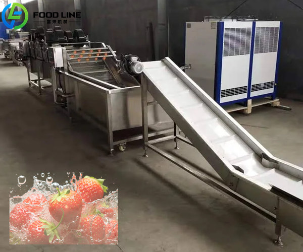 strawberry washing and drying line