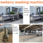 strawberry washing machine line for sale