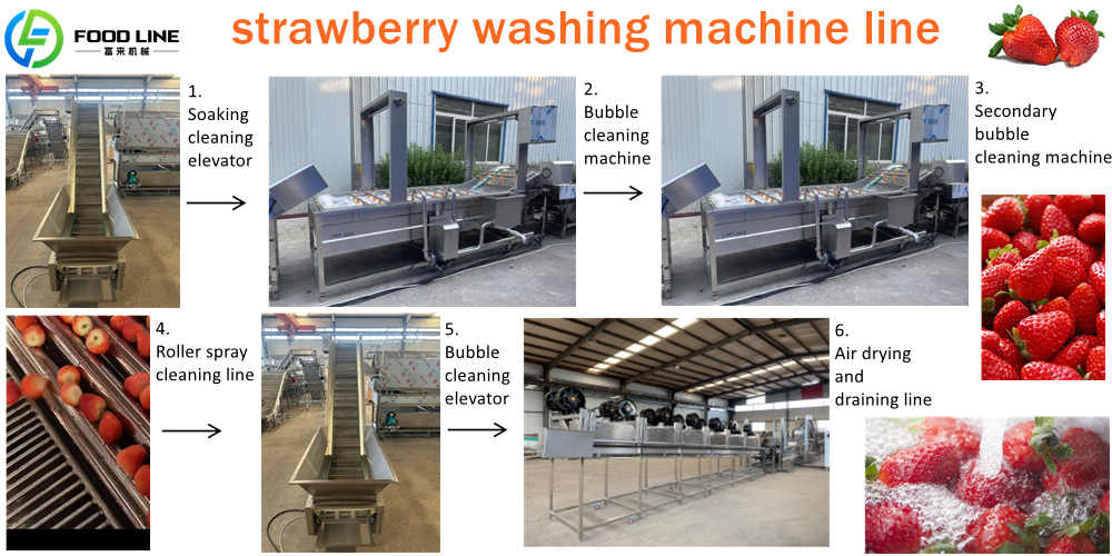strawberry washing machine line for sale