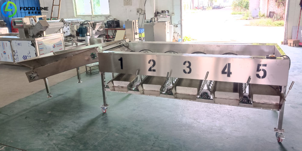 apple sorter machine with high sorting efficiency