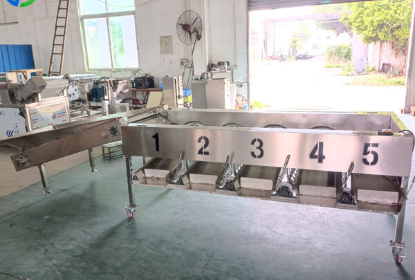 apple sorting machine for sale in chile