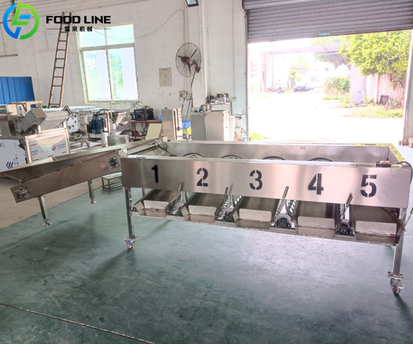 apple sorting machine for sale in chile