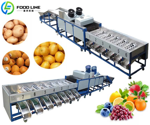 commercial orange size sorting machine