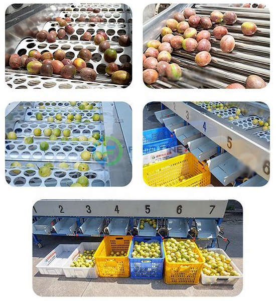 efficient grading of round fruits like apples