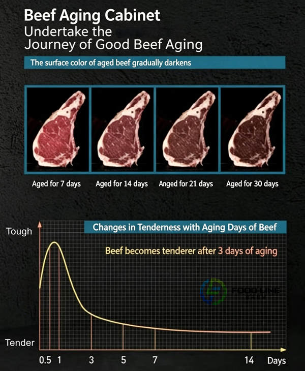 journey of good beef aging