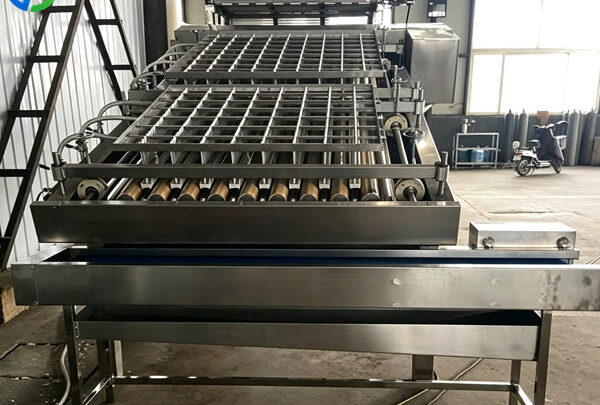 best shrimp peeling machine price