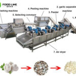 complete industrial garlic peel machine line