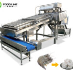 Shrimp Peeling Machine for Automatic Shrimp Shell Removal fully-automatic-shrimp-peeling-machine