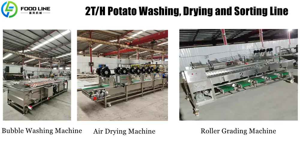 2T/H Potato Processing Equipment Line for Potato Washing, Drying and Sorting 2 ton per hour potato processing equipment line