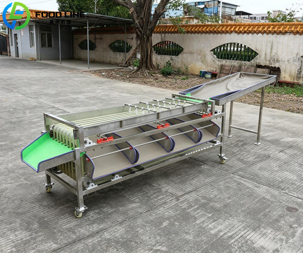blueberry grading equipment also ideal for cherries plums strawberries