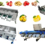 Fruit and Vegetable Grader for Size and Weight Grading fruit and vegetable grader machine for sale