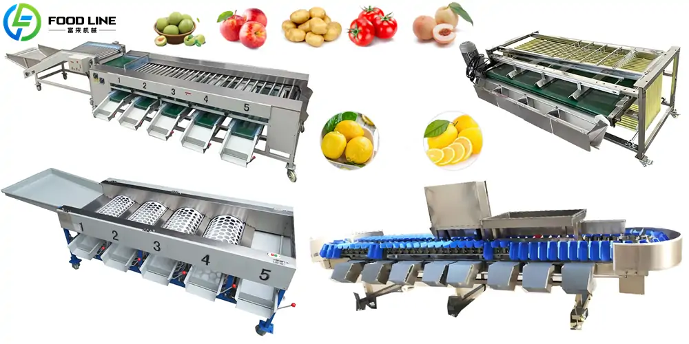 fruit and vegetable grader machine for sale