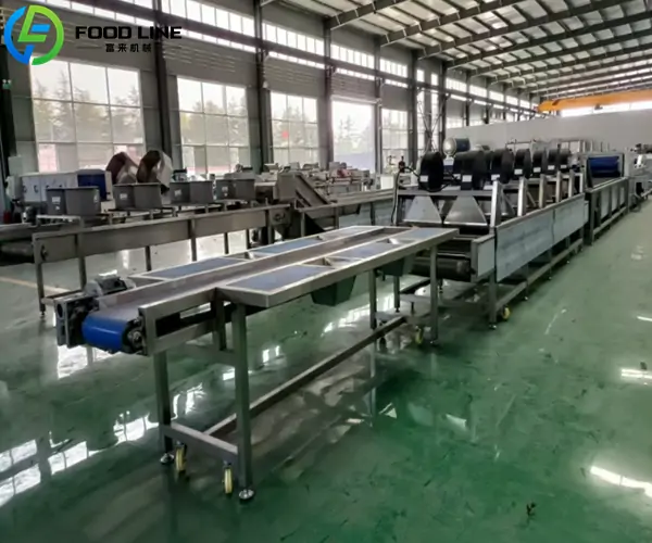 fruit and vegetable processing equipment