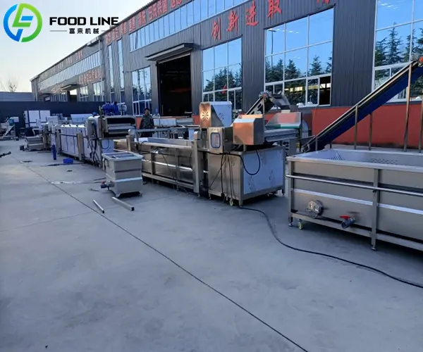 fruit and vegetable processing machines