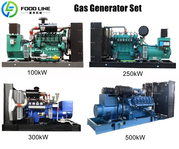 gas generator set manufacturer