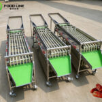 3 Units of Dates Sorting Machine Sold to Saudi Arabia industrial dates sorting machine for sale in saudi arabia