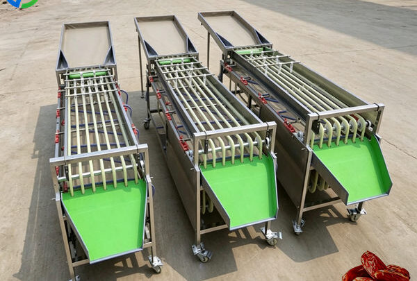 industrial dates sorting machine for sale in saudi arabia