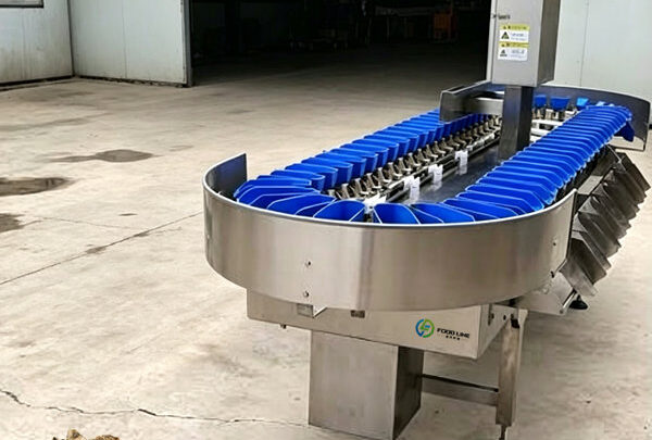 oyster weight grader machine for sale in france