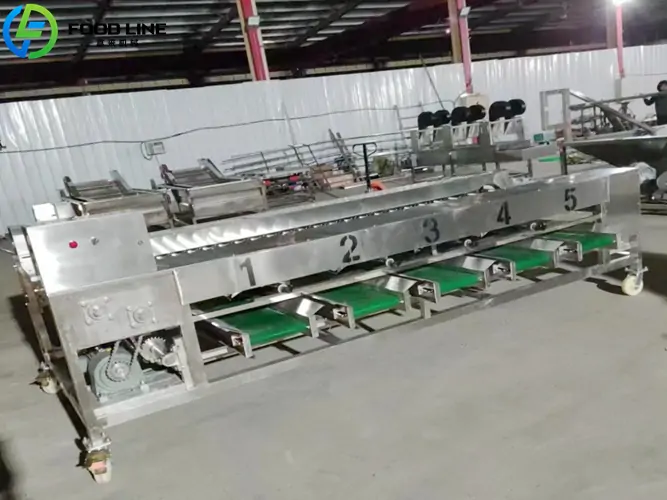 roller grading machine for potato size grading