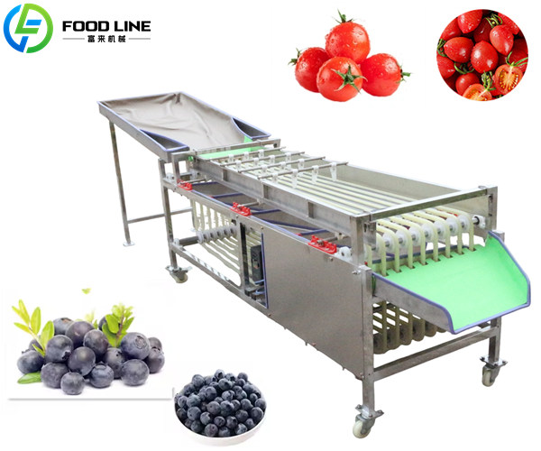 size grading machine for blueberries and cherry tomatoes