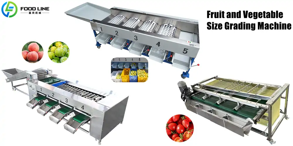 Size Grading Machine for Fruits and Vegetables size grading machine for fruits and vegetables
