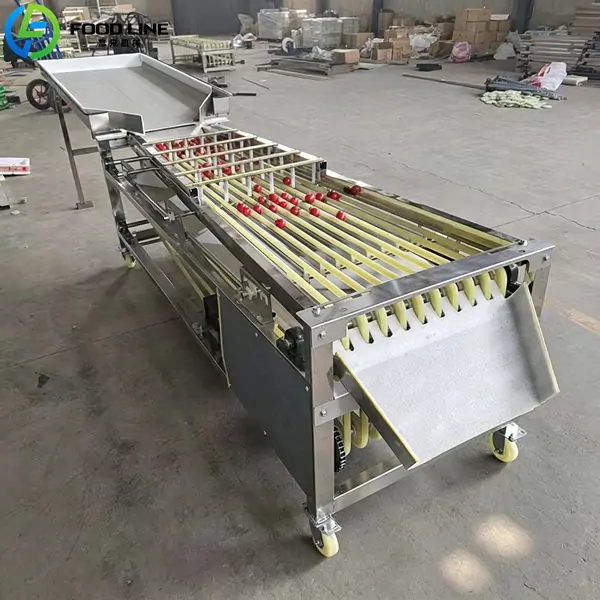 track based cherry tomato grading machine