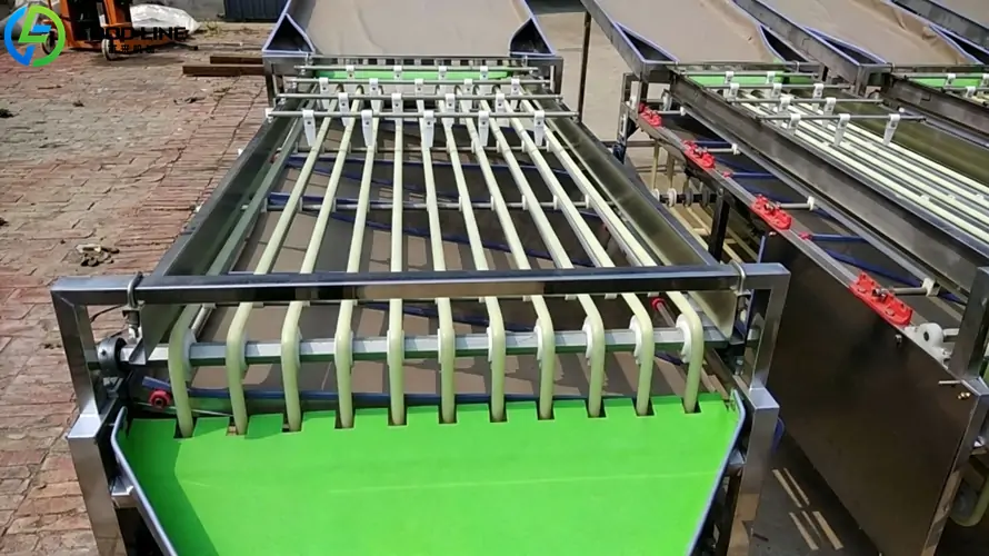 track type grading machine for blueberries strawberries and cherries