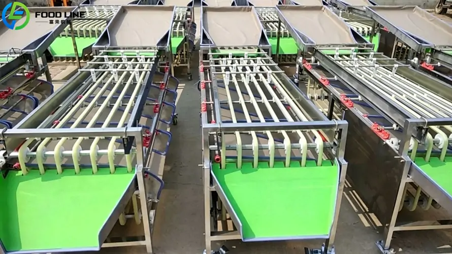 vegetable and fruit grading machine with food grade silicone tracks
