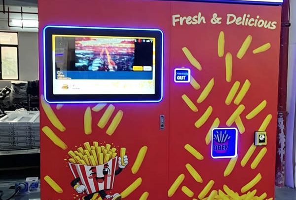 best french fries vending machine price in ireland